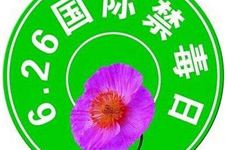 国际禁毒日简介