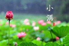 小满节气物候有哪些