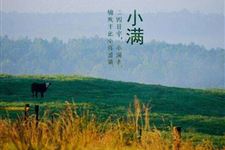 有关小满节气的农事诗有哪些