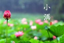 关于小满节气的农谚有哪些