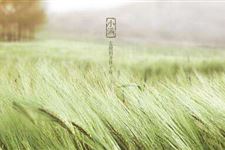 小满节气时对养生都有哪些知识