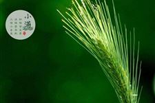2019年10月09日是小满吗