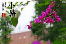 小暑大暑的意义 小暑大暑都有哪些区别
