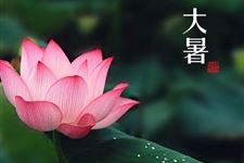 2017大暑是几月几日
