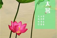 2017年大暑时间 2017年大暑是什么时候