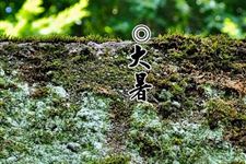 2017年节气大暑是几月几号