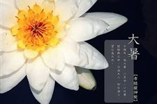 大暑是几月几日 2017年大暑是哪天