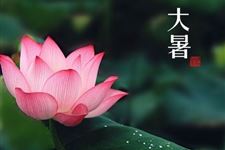 2017年大暑时间 2017年大暑是什么时候?