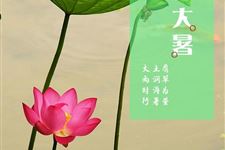 大暑节气有哪些传统习俗