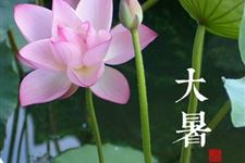 全国各地24节气大暑饮食习俗大全