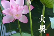 大暑节气短信祝福语