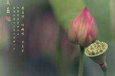 2017夏至的日期,2017夏至是什么时候