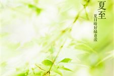 夏至诗句 2017年关于夏至诗句大全