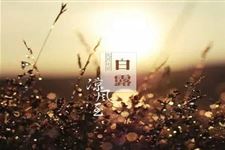 白露为霜所谓伊人在水一方是哪首诗词 代表什么意思