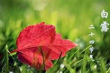 什么是白露节气 白露节气是什么意思