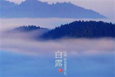 2017年有关白露的谚语大全