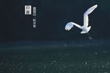 白露祝福语,2017年白露祝福短信