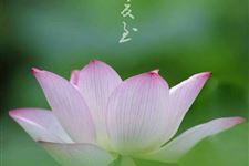 夏至的传统风俗有哪些