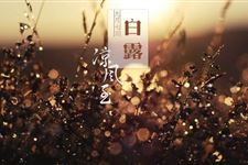 白露祝福语