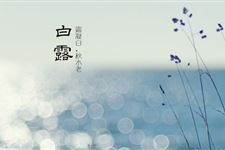 白露节气祝福语大全