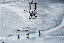 白露节气祝福语