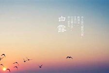 关于白露的农事谚语