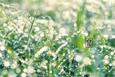 白露节气农事:果树生产指南