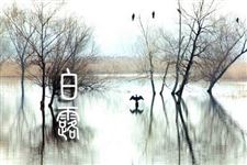 白露农事活动有哪些