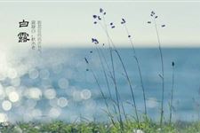 白露节气谚语大全