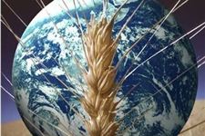 2017年“世界粮食日”爱粮节粮倡议书