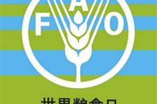 2017年世界粮食日演讲稿