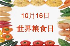 2017年最新的世界粮食日演讲稿