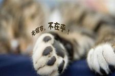 双十一光棍节的由来大全