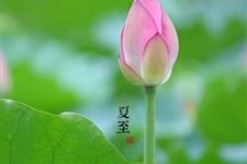 夏至节气的由来和夏至节气习俗有哪些