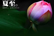 夏至祝福短信有哪些