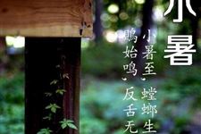 小暑是伏天吗 小暑是入伏的开始吗