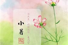 小暑时节吃冬瓜的原因 小暑时节为什么要吃冬瓜