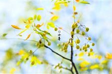 小暑节气的运动 小暑节气可以做哪些运动
