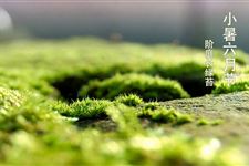 小暑的气候特征 小暑节气的气候特征有哪些