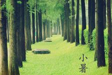 小暑节气农事指导 小暑节气时期农事上有哪些变化
