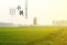 2017年小暑时间 2017年小暑是几月几日几点钟