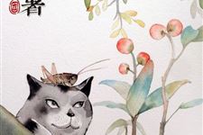 小暑节气传统食物 小暑节气吃什么传统食物