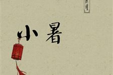 小暑诗句 小暑风催早豆熟后面是什么