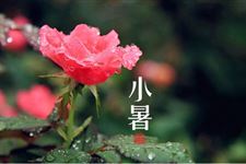 小暑多长时间 2017年小暑有多长时间