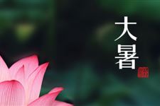 2017年大暑时间:2017年大暑是几月几日几点几分