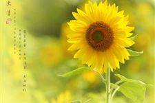 217年大暑计算方法:2017年大暑节气怎么计算
