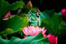 2017年大暑节气短信祝福语
