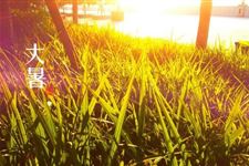 中医大暑节气如何养生