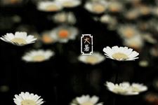 关于大暑节气谚语有哪些