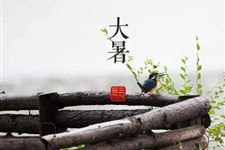 大暑节气是几伏天 大暑节气代表什么